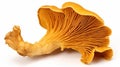 Raw fresh chanterelle mushrooms isolated on white background. Generative Ai Royalty Free Stock Photo