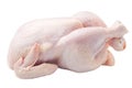 Raw fresh chicken, clipping path, on white background Royalty Free Stock Photo