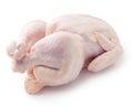 Raw fresh chicken, clipping path, on white background Royalty Free Stock Photo