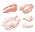 Raw fresh chicken parts for cooking set, vector realistic illustration Royalty Free Stock Photo