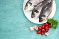 Raw fresh dorado fish on white plate and vegetables on blue table Royalty Free Stock Photo