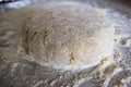 Raw fresh dough Royalty Free Stock Photo