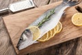 Raw fresh fish Royalty Free Stock Photo