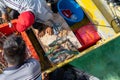 Raw and fresh fish in the fisherman`s boat to be sold to the customers in Semporna, Sabah