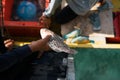 Raw and fresh fish in the fisherman`s boat to be sold to the customers in Semporna, Sabah