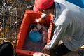 Raw and fresh fish in the fisherman`s boat to be sold to the customers in Semporna, Sabah