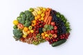 raw fresh fruits and vegetables for a healthy food eating and vegetarian diet nutrition in shape of human brain. View