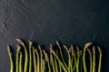 Raw fresh green asparagus stalks over black slate background. Concept of food and seasonal vegetables harvest. Close up Royalty Free Stock Photo