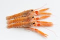 Raw fresh langoustine also known as scampi, isolated on white background Royalty Free Stock Photo