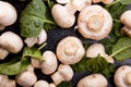 Raw fresh mushrooms and spinach leaves