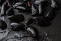 Raw fresh mussels on black slate stone background. Cooking seafood concept. Copy space Royalty Free Stock Photo