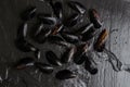 Raw fresh mussels on black slate stone background. Cooking seafood concept Royalty Free Stock Photo