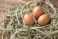 Raw fresh natural farm chicken eggs on straw and wood background Royalty Free Stock Photo