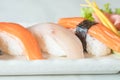 Raw and fresh nigiri sushi in white plate Royalty Free Stock Photo