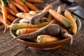 Raw Fresh Organic Heirloom Carrots in a Bowl