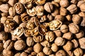 Raw fresh organic walnut. In shell nuts. Healthy food on the farmer market
