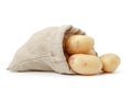 Raw fresh potatoes in burlap bag isolated on white Royalty Free Stock Photo