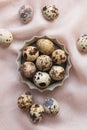 Raw fresh quail eggs in bowl. Top view. Royalty Free Stock Photo