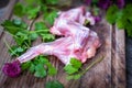 Raw fresh rabbit meat