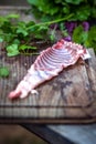 Raw fresh rabbit meat