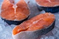 Raw salmon fillet on ice cubes. Royalty Free Stock Photo