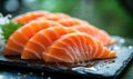 Raw fresh salmon sashimi served on black plate, Japanese food style Royalty Free Stock Photo