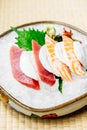 Raw and fresh sashimi set with salmon and tuna fish meat Royalty Free Stock Photo