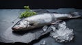 Raw fresh sea bass fish with parsley on black stone background. Generative AI Royalty Free Stock Photo