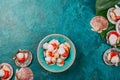 Raw fresh seafood shellfish scallops on blue background Royalty Free Stock Photo