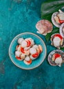 Raw fresh seafood shellfish scallops on blue background