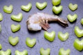 Raw fresh shrimp with celery Royalty Free Stock Photo