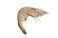 Raw fresh shrimp or prawn isolated on a white background Royalty Free Stock Photo