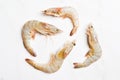 Raw fresh shrimps or prawns isolated on a white background Royalty Free Stock Photo