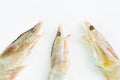 Raw fresh shrimps or prawns isolated on a white background Royalty Free Stock Photo