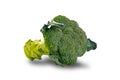 Raw fresh single broccoli isolated on white background Royalty Free Stock Photo