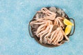 Raw fresh squid tentacles on a blue concrete background, top view Royalty Free Stock Photo