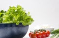 Closeup of lettuce leaves in the bowl and different ingredients for cooking.Fresh and delicious vegetables prepared for cooking me Royalty Free Stock Photo