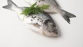 Raw fresh uncooked dorado or sea bream fish with lemon, herbs,  cherry tomatoes and spices on white background Royalty Free Stock Photo