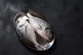 Raw fresh uncooked dorado or sea bream fish on silver tray over Royalty Free Stock Photo