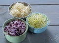 Raw fresh young organic sprouts of leek, alfalfa and red reddish Royalty Free Stock Photo