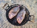 Two fish on grill - outdoor cooking on a beach Royalty Free Stock Photo