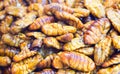 Raw fried Silkworm pupae selling in evening market Royalty Free Stock Photo
