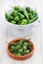 Spanish padron peppers, pimientos de padron