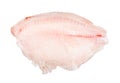 raw frozen deboned fillet of ocean perch fish