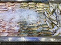 Raw frozen fish for sale at seafood supermarket Royalty Free Stock Photo