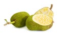 Jackfruit Royalty Free Stock Photo