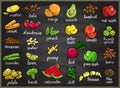 Raw fruits and vegetables graphic set on a chalkboard, hand drawn sketch illustration Royalty Free Stock Photo