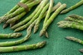 Raw garden asparagus stems.