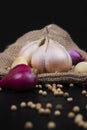 Raw Garlic and Shallot Close Up Royalty Free Stock Photo