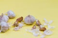 Garlic on yellow background, alternative medicine virus protection concept